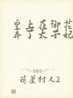 皇上在御花园c弄了太子妃