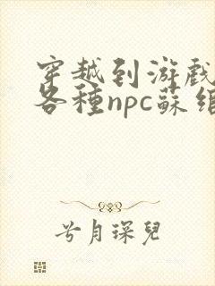 穿越到游戏里和各种npc苏绾