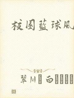 校园蓝球风云