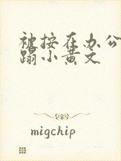 被按在办公室糟蹋小黄文