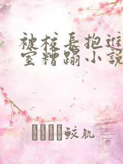 被校长抱进办公室糟蹋小说