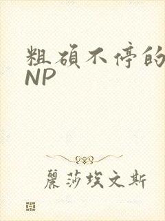 粗硕不停的进出NP