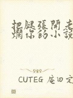 把腿张开老子臊烂你的小说