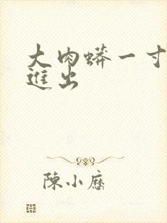 大肉蟒一寸一寸进出