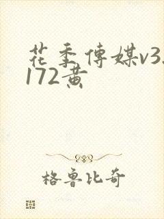 花季传媒v3.172黄