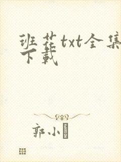 班花txt全集下载