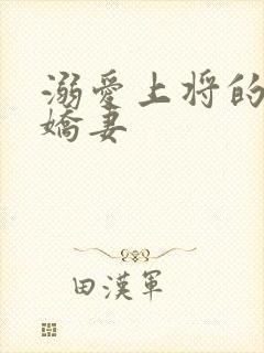 溺爱上将的宝贝娇妻