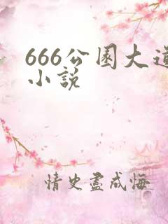 666公园大道小说