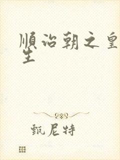 顺治朝之皇后重生