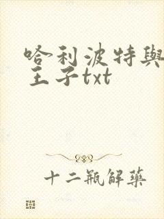 哈利波特与混血王子txt