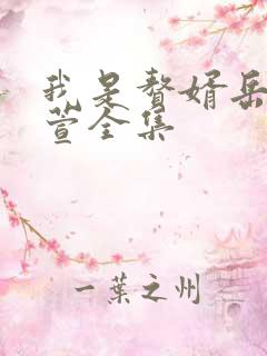我是赘婿岳风柳萱全集