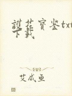 护花宝鉴txt下载