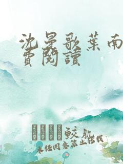 沈曼歌叶南玹免费阅读