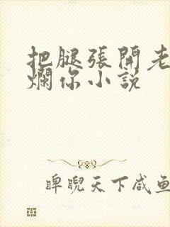 把腿张开老子臊烂你小说