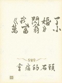 《我闪婚了个亿万富翁》小说