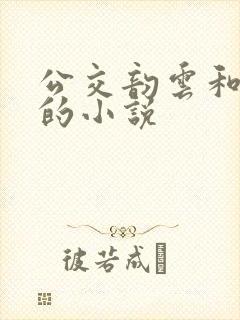 公交韵云和小健的小说