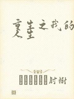 重生之我的抄袭人生