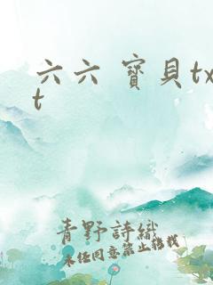 六六 宝贝txt