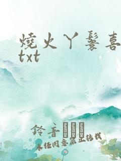 烧火丫鬟喜洋洋txt