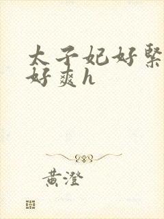 太子妃好紧皇上好爽h