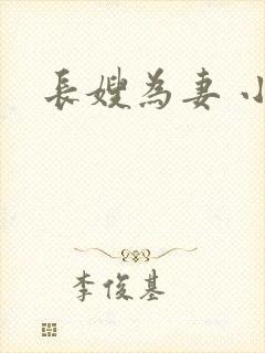 长嫂为妻 小说
