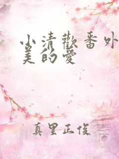 小清欢番外篇完美的爱