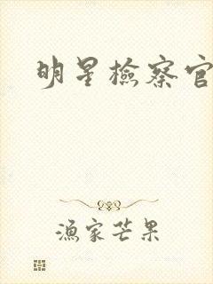 明星检察官小说