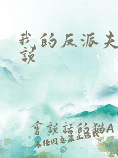 我的反派夫君小说