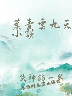 叶青云九天玄宗小说