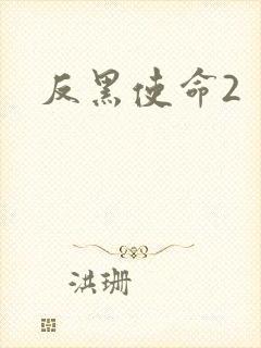 反黑使命2