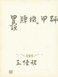 冒牌机甲师 小说