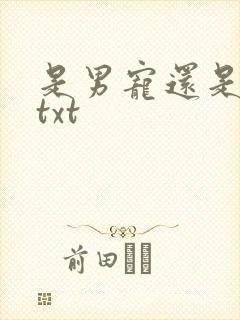 是男宠还是禁脔txt