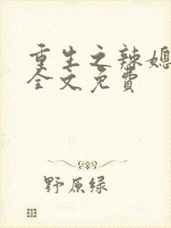 重生之辣媳当家全文免费