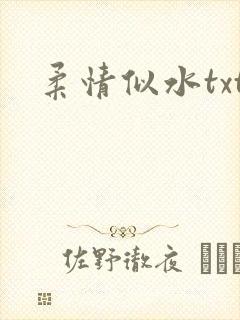柔情似水txt