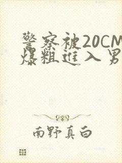 警察被20CM爆粗进入男男软件