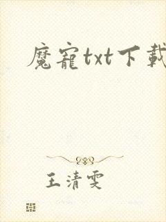 魔宠txt下载