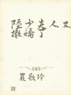 陆少夫人又双叒撒娇了