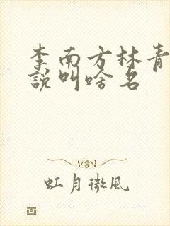 李南方林青青小说叫啥名