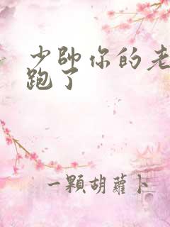 少帅你的老婆又跑了