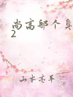 尚高那个臭小子2