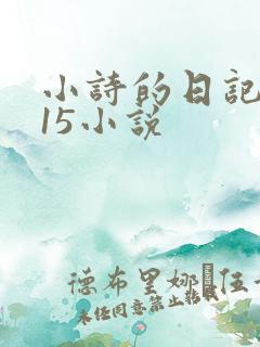 小诗的日记1一15小说