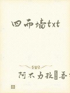 四面墙txt