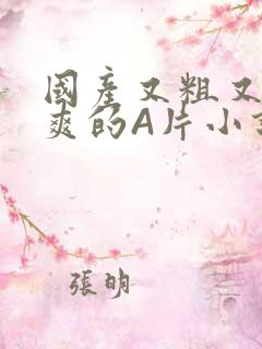 国产又粗又黄又爽的A片小说