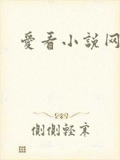 爱看小说网
