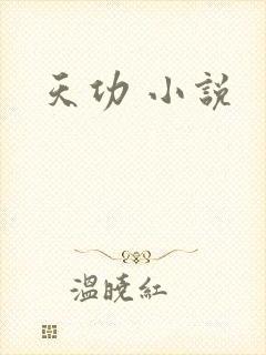 天功 小说