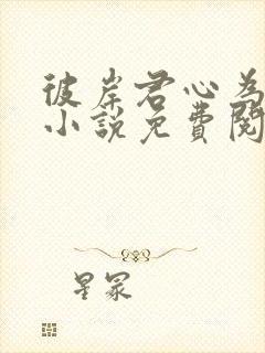 彼岸君心为我倾小说免费阅读