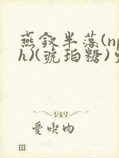 燕钗半落(nph)(琥珀糖)更新