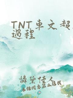 TNT车文超细过程