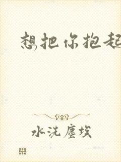 想把你抱起来撞