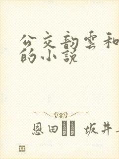 公交韵云和小健的小说